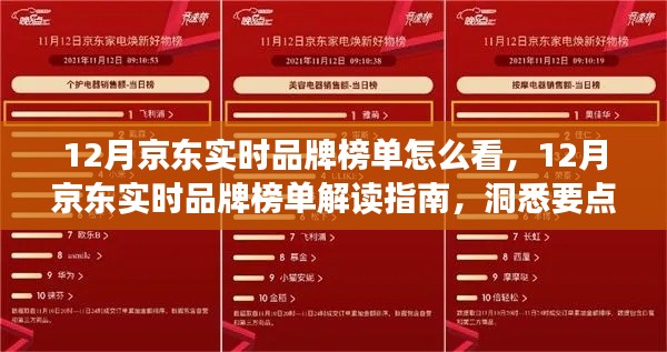 解读指南