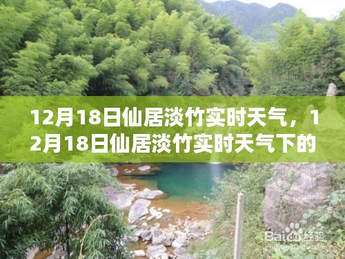 12月18日仙居淡竹实时天气分析与气候探讨