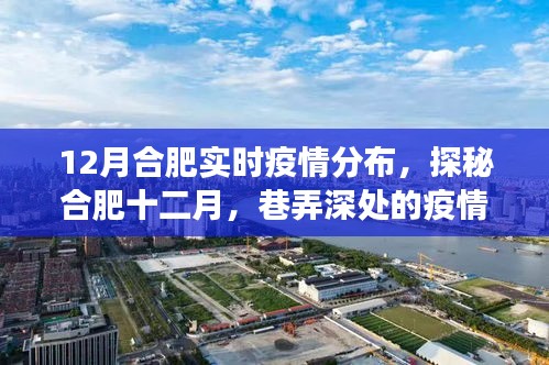 合肥十二月疫情探秘，巷弄深处的实时分布与独特小店的故事