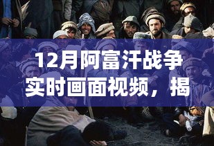 三大要点深度解析