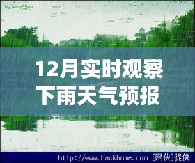十二月的魔法时刻，雨中探索自然美景，与内心的宁静共舞的天气之旅