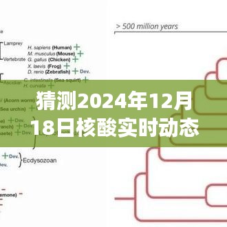百鸟归巢 第3页