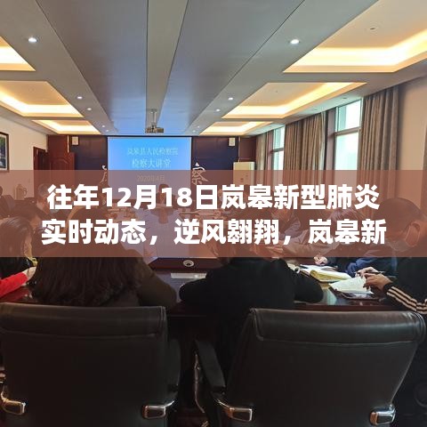 逆风翱翔