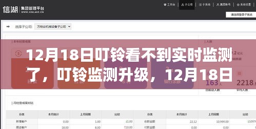叮铃监测升级，全新体验下的实时监测变革，12月18日重磅更新