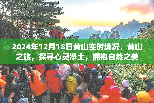 黄山之旅，探寻心灵净土，拥抱自然之美——2024年12月18日黄山实时境况记录