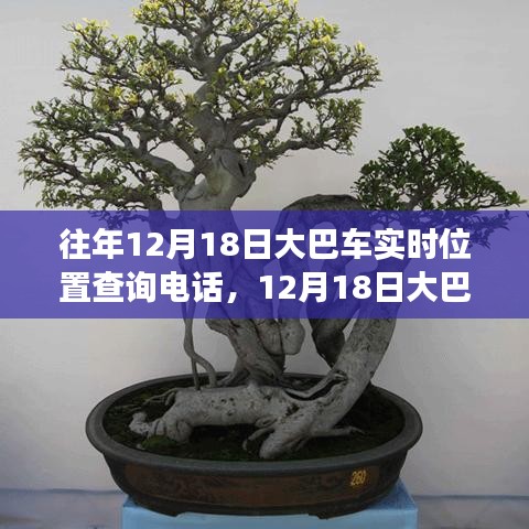 仙姿佚貌 第4页
