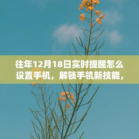 如何在手机设置实时提醒，解锁新技能，开启美妙遨游之旅的秘诀在12月18日揭晓