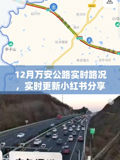 迷离马虎 第3页