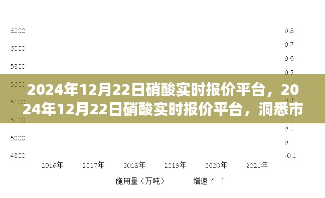洞悉市场动态，掌握行业趋势，2024年12月22日硝酸实时报价平台