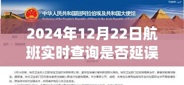 冬日暖阳下的飞行奇遇，航班延误时光与好友共度