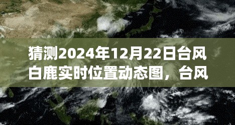 台风白鹿来袭，冒险之旅中的自信闪耀与实时动态图预测学习笔记