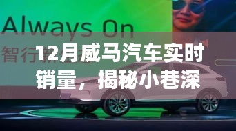 揭秘威马汽车销量背后的秘密故事，小巷深处的风景与隐藏式特色小店，实时销量分析十二月篇