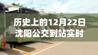 技术革新下的沈阳公交实时查询，历史视角与社会便利的探讨