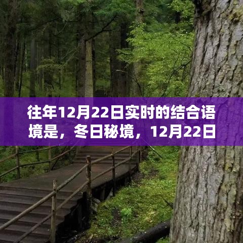 冬日秘境，与自然共舞的日子，12月22日的魔法时刻