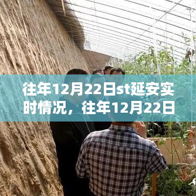 往年12月22日ST延安实时情况详解，掌握攻略，轻松完成任务！