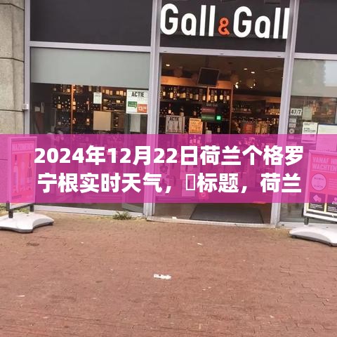 荷兰格罗宁根实时天气探索，追寻自然美景与心灵宁静的奇妙之旅（2024年12月22日）
