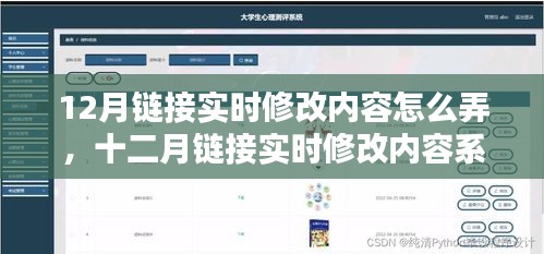 十二月链接实时修改内容系统，全面评测与介绍指南