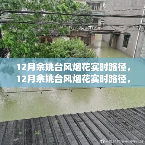 深度解析与前沿观察，12月余姚台风烟花实时路径追踪