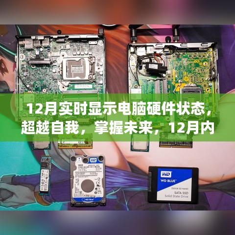 超越自我，实时掌握电脑硬件状态，开启自信成长之旅