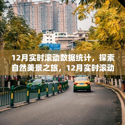 探索自然美景之旅，揭秘12月实时滚动数据统计背后的宁静呼唤