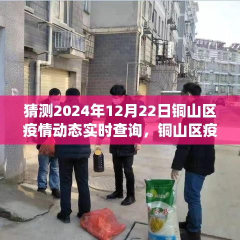 铜山区未来疫情动态预测与实时追踪系统，智能守护者的前瞻观察