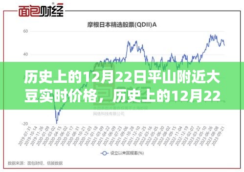 历史上的12月22日平山附近大豆价格风云纪实，实时价格回顾与趋势分析