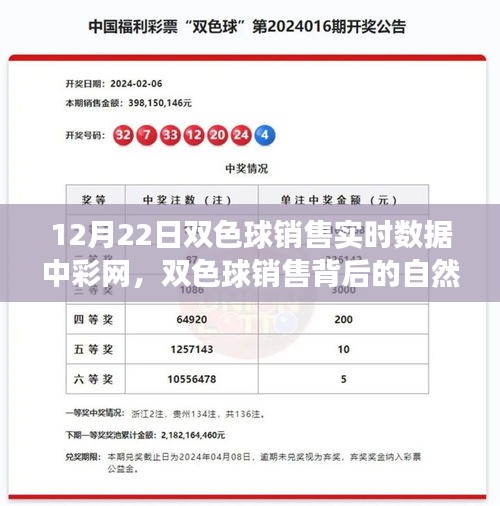 探索双色球销售背后的自然之旅，内心平静的奇妙旅程揭秘（实时数据解析）