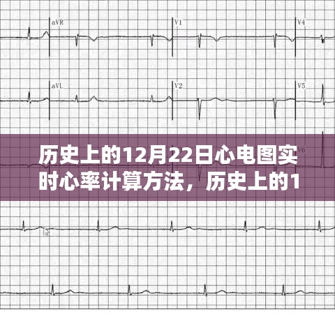 深度解析与评测