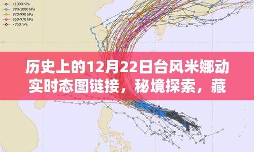 台风米娜动态追踪与秘境探索，巷陌特色小店奇妙邂逅