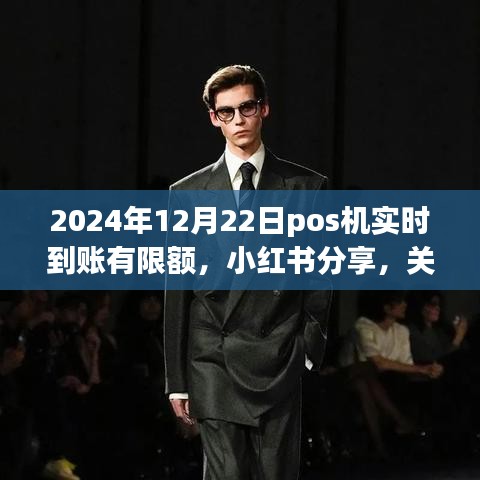 小红书分享，2024年POS机实时到账限额详解
