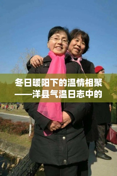 冬日暖阳下的温情相聚——洋县气温日志中的欢乐聚会时光