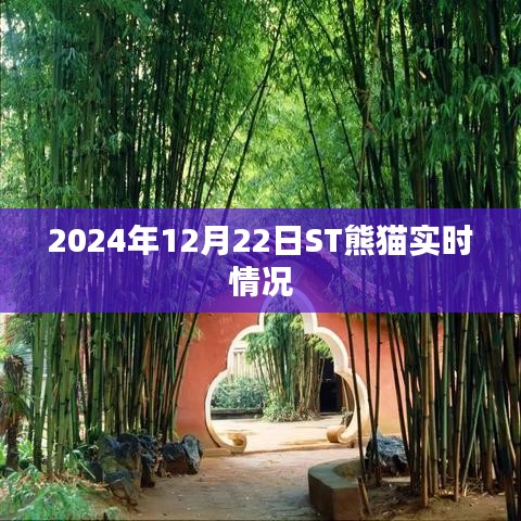 ST熊猫实时动态，最新消息与走势分析