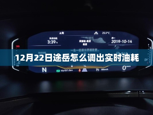 途岳实时油耗查询方法，轻松掌握车辆油耗数据