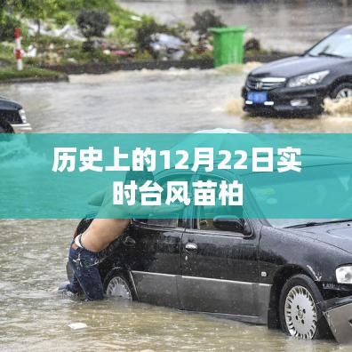 实时台风苗柏历史记录，12月22日情况概述