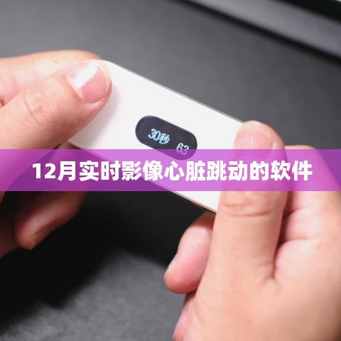 实时影像心脏跳动软件，追踪心跳新体验