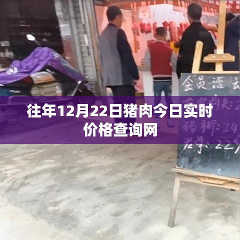最新猪肉实时价格查询网，今日更新