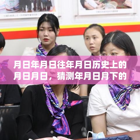 上海公交查询，历史与实时下载之旅
