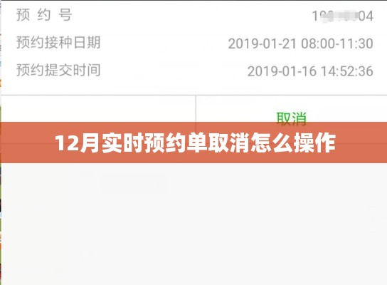 凤凰于飞 第4页