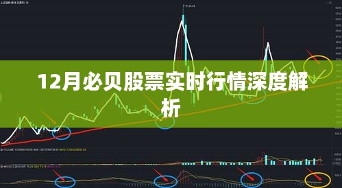 自作主张 第3页