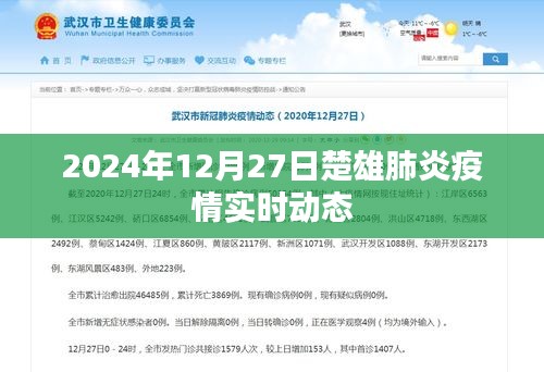楚雄肺炎疫情实时动态更新（截至2024年12月27日）