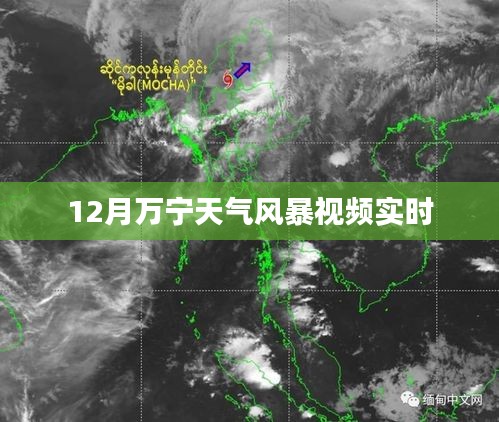 万宁风暴来袭，最新天气实时视频