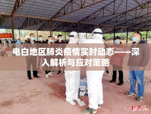 电白地区肺炎疫情最新动态，解析与应对策略