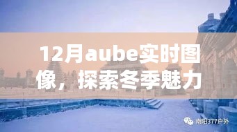 冬季aube实时图像探索视觉盛宴