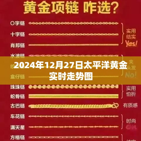 2024年12月27日太平洋黄金行情走势分析