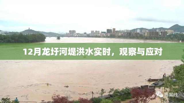龙圩河堤洪水实时观察与应对举措