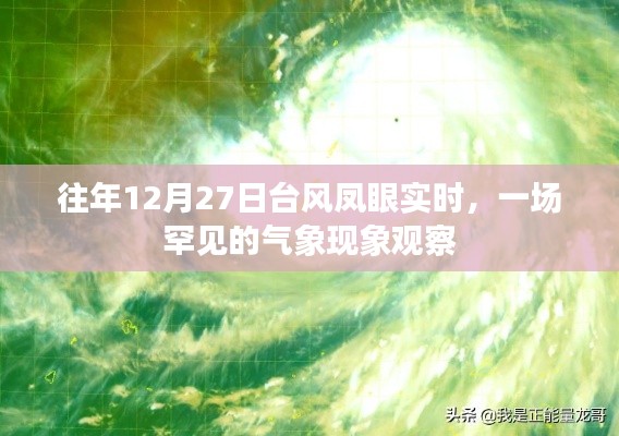 台风凤眼现象观察，罕见气象奇观揭秘