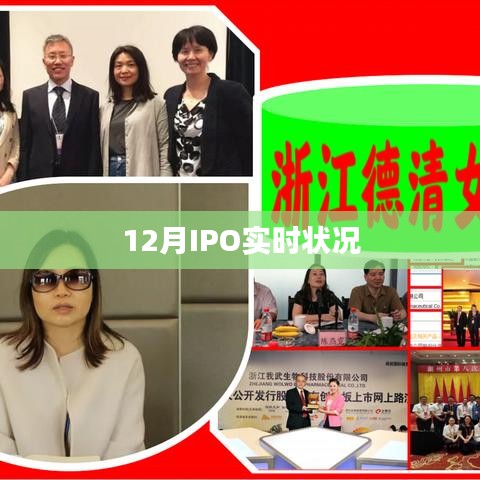 12月IPO最新动态及实时状况分析