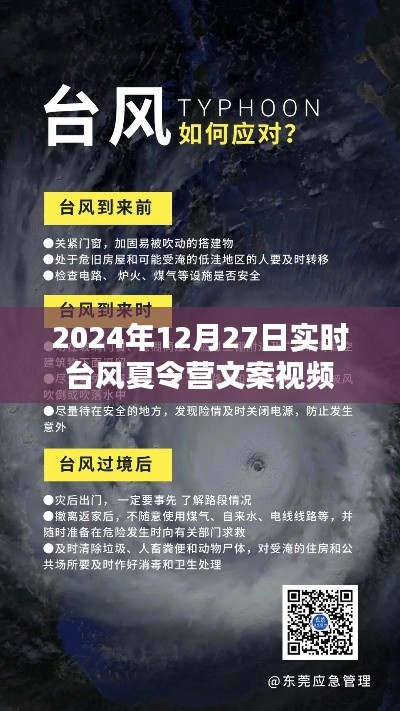 台风夏令营，亲历台风天气的真实记录