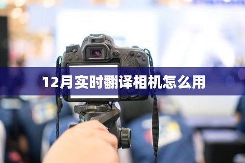 12月实时翻译相机使用指南