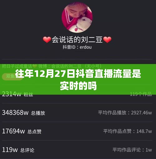 抖音直播流量历年数据解析，直播流量实时性探讨